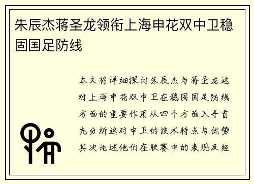 朱辰杰蒋圣龙领衔上海申花双中卫稳固国足防线